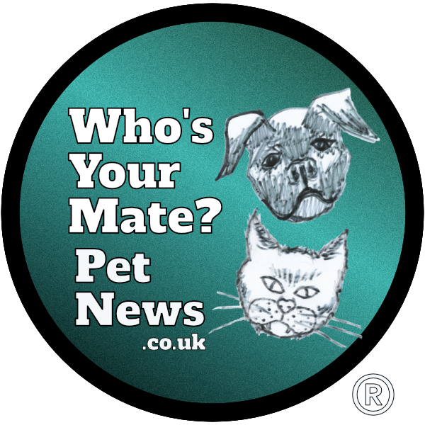 Logo comprising brand text and hand-drawn dog's face and cat's face